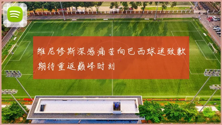 维尼修斯深感痛苦向巴西球迷致歉期待重返巅峰时刻