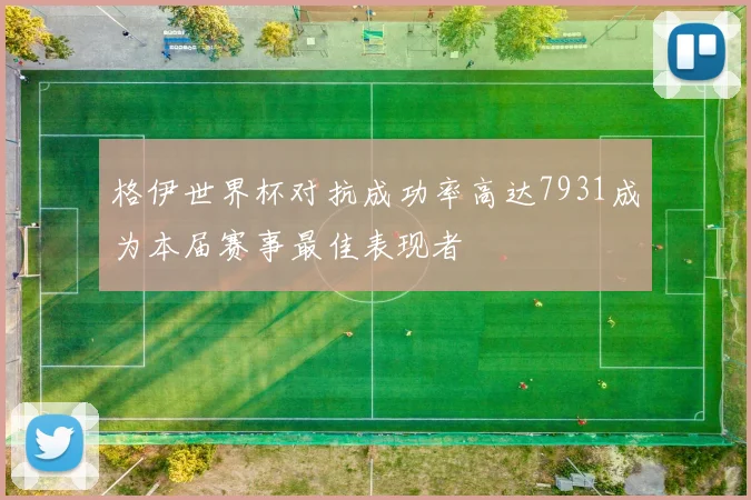 格伊世界杯对抗成功率高达7931成为本届赛事最佳表现者