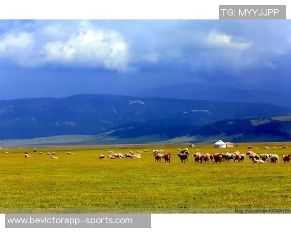 半岛都市报：新疆男篮状态平平今晚雄鹰力争首次突破天山高峰